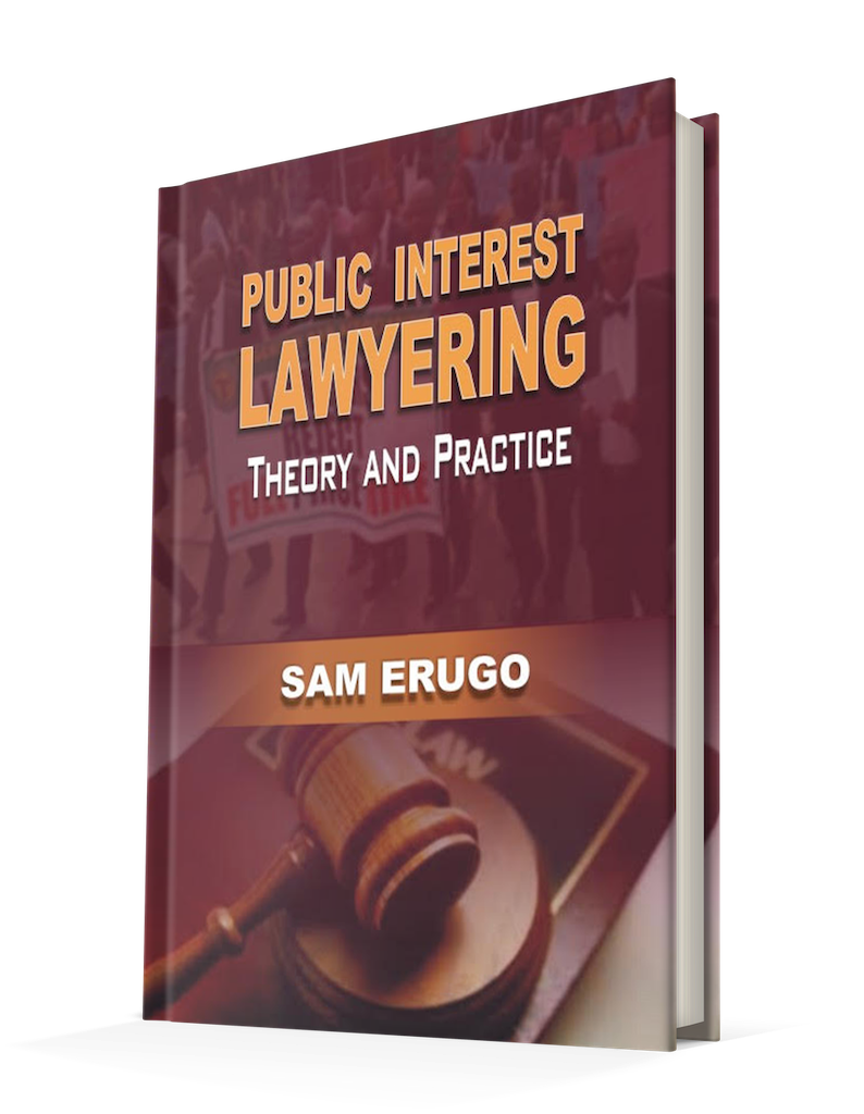 Public Interest Lawyering:  Theory And Practice