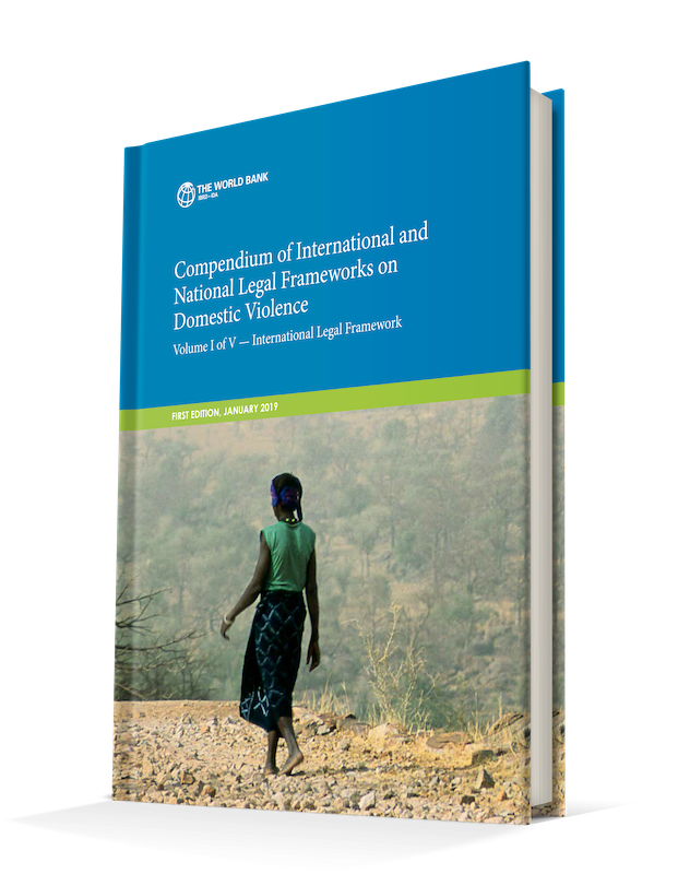 Compendium Of International And National Legal Frameworks On Domestic Violence  Volume 1 Of 5 â€” International Legal Framework
