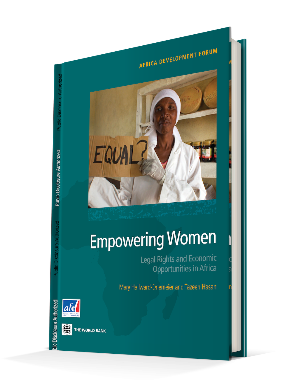 Empowering Women: Legal Rights And Economic Opportunities In Africa