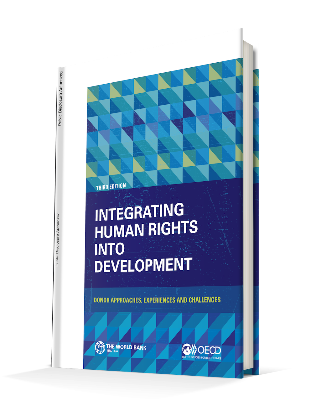 Integrating Human Rights Into Development